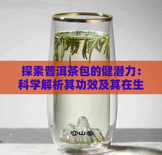 探索普洱茶包的健潜力：科学解析其功效及其在生活中的应用