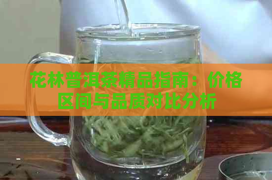 花林普洱茶精品指南：价格区间与品质对比分析