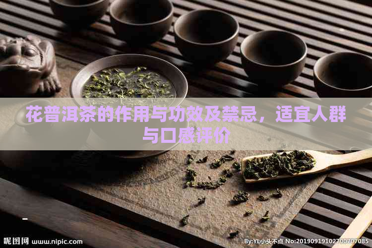 花普洱茶的作用与功效及禁忌，适宜人群与口感评价