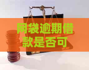 网袋逾期借款是否可行：关键因素和建议