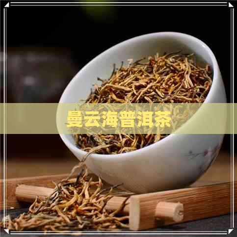 曼云海普洱茶