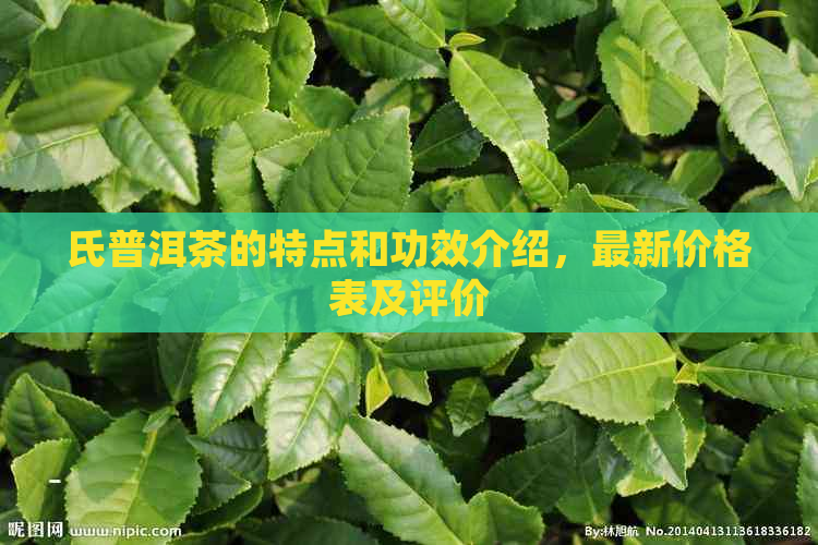 氏普洱茶的特点和功效介绍，最新价格表及评价