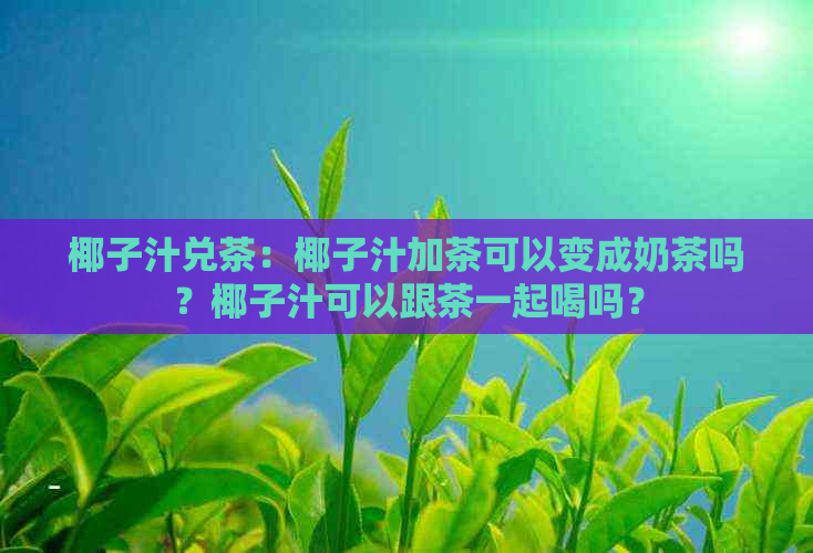 椰子汁兑茶：椰子汁加茶可以变成奶茶吗？椰子汁可以跟茶一起喝吗？