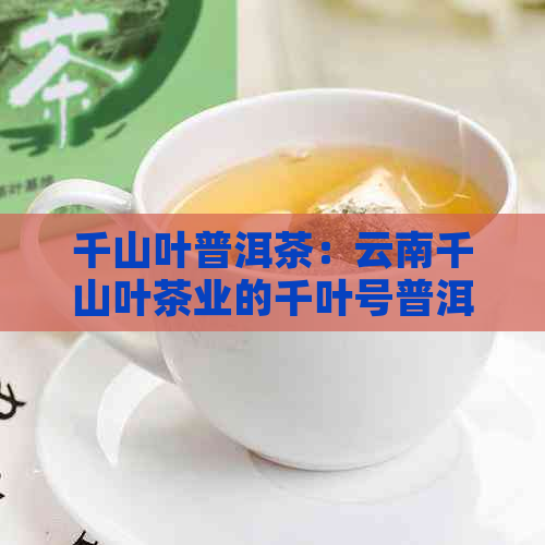 千山叶普洱茶：云南千山叶茶业的千叶号普洱茶饼怎么样？