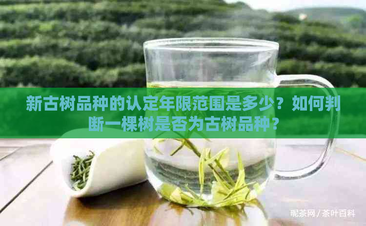 新古树品种的认定年限范围是多少？如何判断一棵树是否为古树品种？