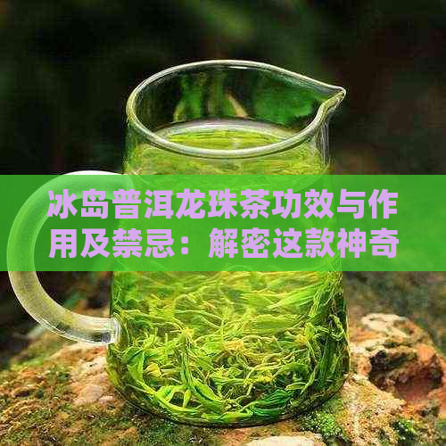 冰岛普洱龙珠茶功效与作用及禁忌：解密这款神奇茶叶的多种好处