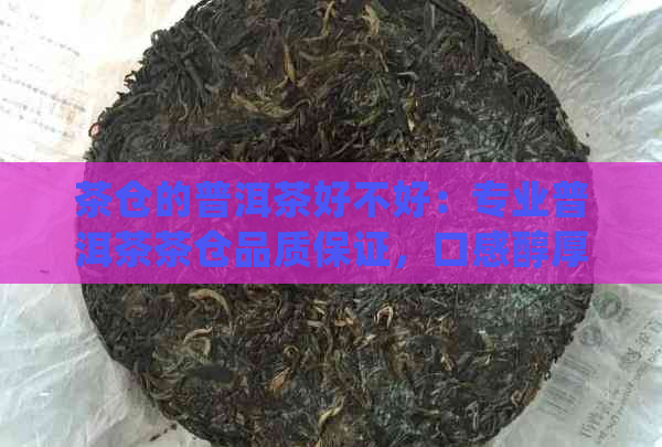 茶仓的普洱茶好不好：专业普洱茶茶仓品质保证，口感醇厚，值得一试！