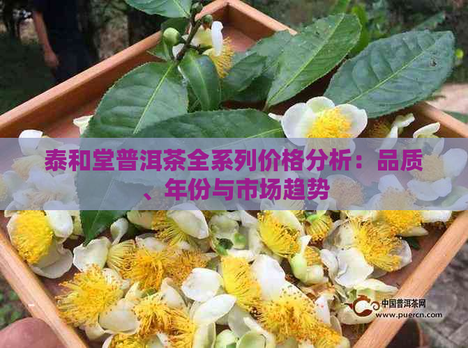 泰和堂普洱茶全系列价格分析：品质、年份与市场趋势