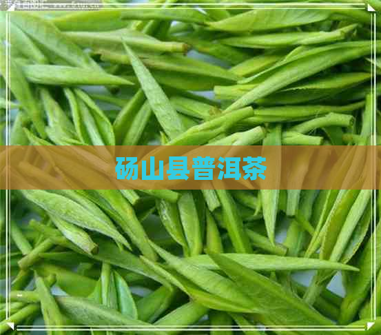 砀山县普洱茶