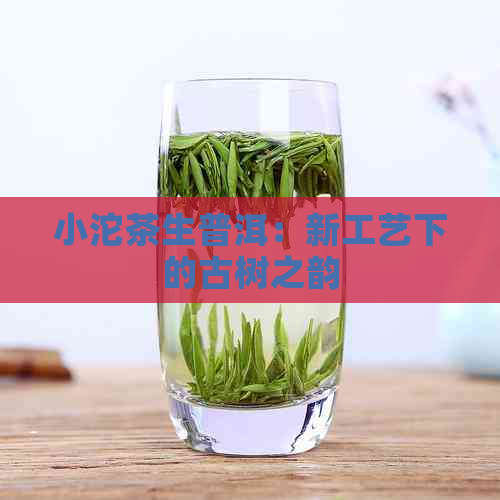 小沱茶生普洱：新工艺下的古树之韵