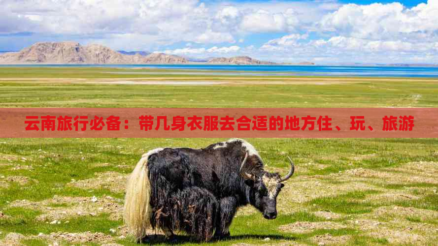 云南旅行必备：带几身衣服去合适的地方住、玩、旅游