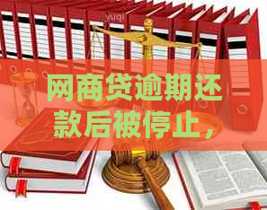 网商贷逾期还款后被停止，用户应如何应对以及可能的解决方案全面解析