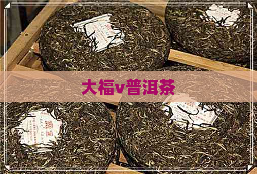 大福v普洱茶