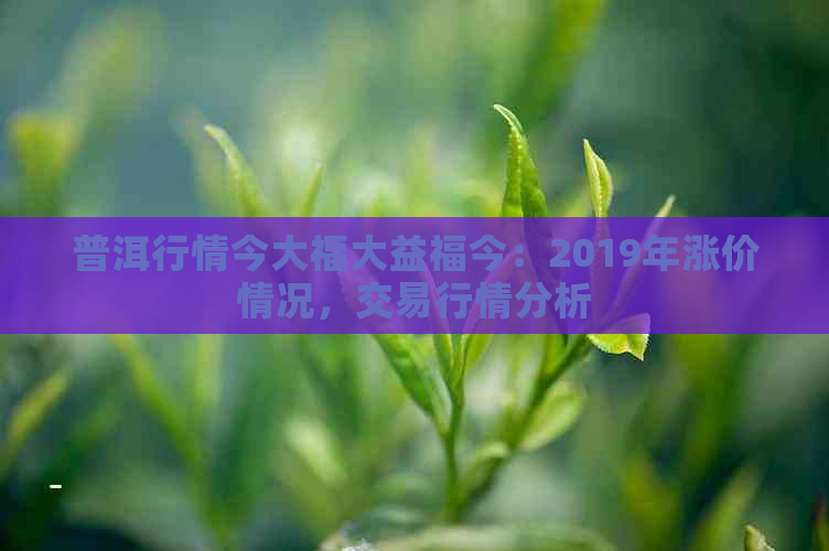 普洱行情今大福大益福今：2019年涨价情况，交易行情分析