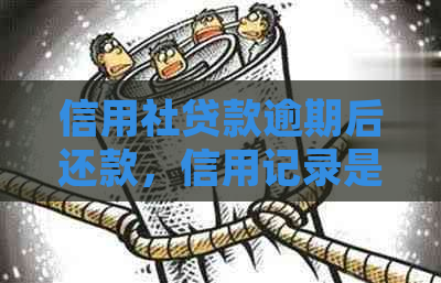 信用社贷款逾期后还款，信用记录是否改善？能否再次获得贷款？