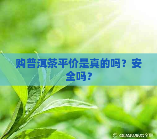 购普洱茶平价是真的吗？安全吗？