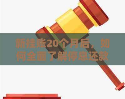 新挂账20个月后，如何全面了解停息还款金额及可能影响因素？