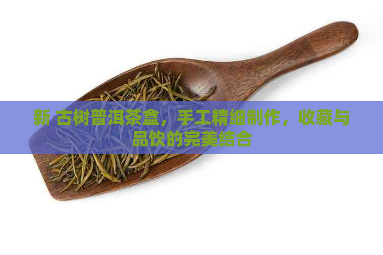 新 古树普洱茶盒，手工精细制作，收藏与品饮的完美结合