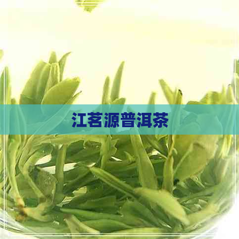 江茗源普洱茶