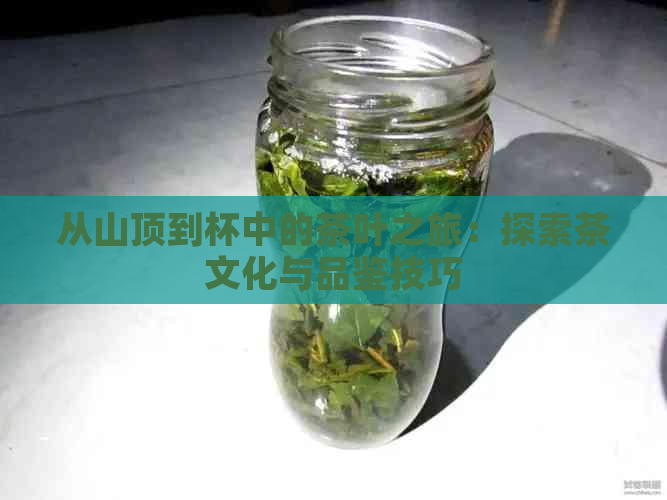 从山顶到杯中的茶叶之旅：探索茶文化与品鉴技巧