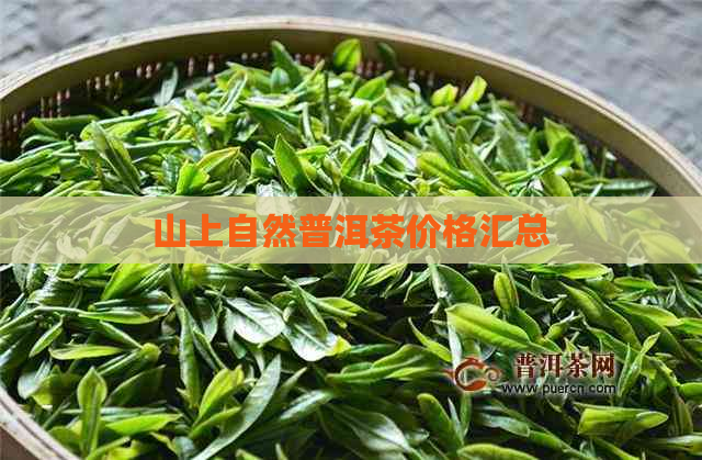 山上自然普洱茶价格汇总