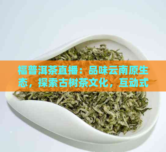 福普洱茶直播：品味云南原生态，探索古树茶文化，互动式品鉴与投资指导