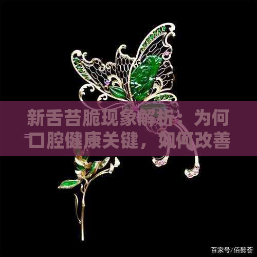 新舌苔脆现象解析：为何口腔健康关键，如何改善口臭与舌苔问题？