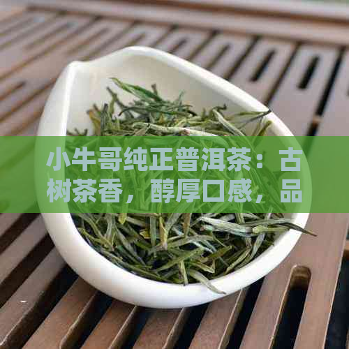 小牛哥纯正普洱茶：古树茶香，醇厚口感，品质生活之选