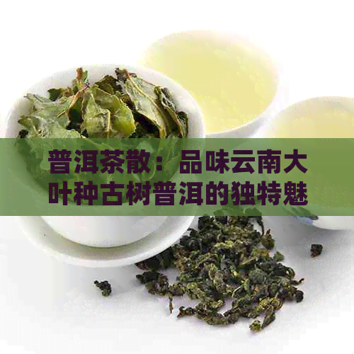 普洱茶散：品味云南大叶种古树普洱的独特魅力，感受岁月沉淀的醇厚口感