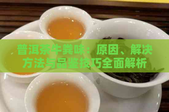 普洱茶牛粪味：原因、解决方法与品鉴技巧全面解析