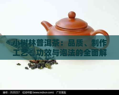 小树林普洱茶：品质、制作工艺、功效与泡法的全面解析