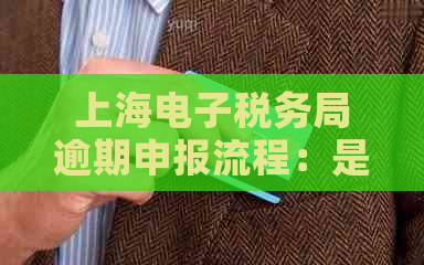 上海电子税务局逾期申报流程：是否允期申报？