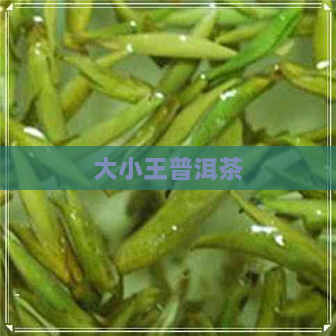 大小王普洱茶