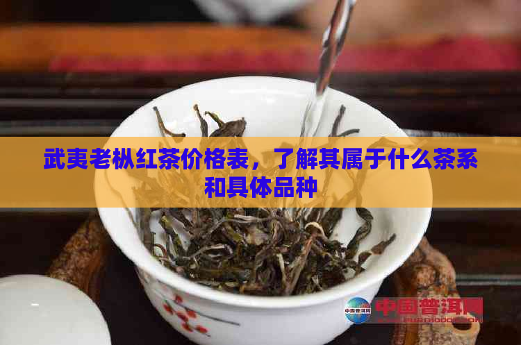 武夷老枞红茶价格表，了解其属于什么茶系和具体品种