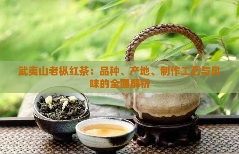 武夷山老枞红茶：品种、产地、制作工艺与风味的全面解析