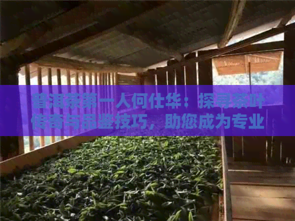 普洱茶之一人何仕华：探寻茶叶传奇与品鉴技巧，助您成为专业鉴家