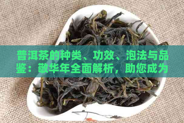 普洱茶的种类、功效、泡法与品鉴：敬华年全面解析，助您成为普洱茶专家