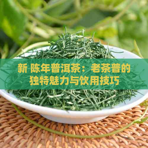 新 陈年普洱茶：老茶普的独特魅力与饮用技巧