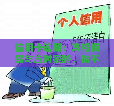 信用卡逾期：真相揭露与应对策略，你不可不知的关键信息