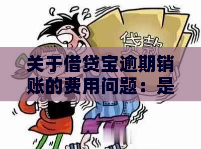 关于借贷宝逾期销账的费用问题：是否可以免除，安全性如何保障？