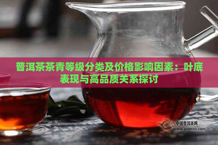 普洱茶茶青等级分类及价格影响因素：叶底表现与高品质关系探讨