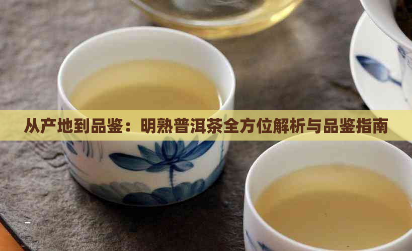 从产地到品鉴：明熟普洱茶全方位解析与品鉴指南