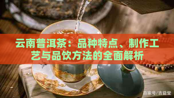 云南普洱茶：品种特点、制作工艺与品饮方法的全面解析