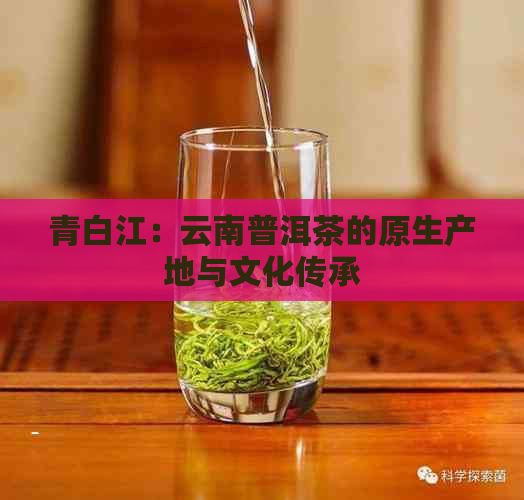 青白江：云南普洱茶的原生产地与文化传承