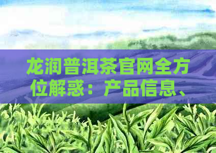 龙润普洱茶官网全方位解惑：产品信息、购买指南、品质保障等一应俱全！