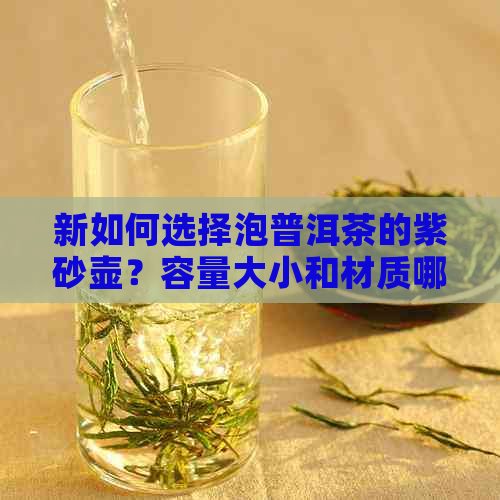 新如何选择泡普洱茶的紫砂壶？容量大小和材质哪个更重要？