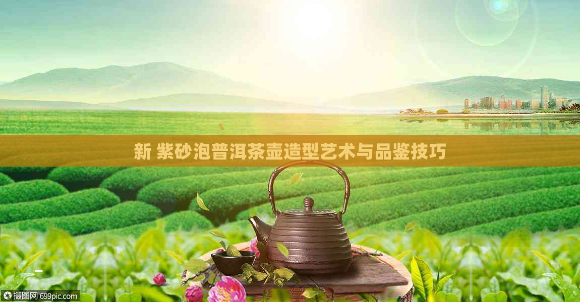 新 紫砂泡普洱茶壶造型艺术与品鉴技巧