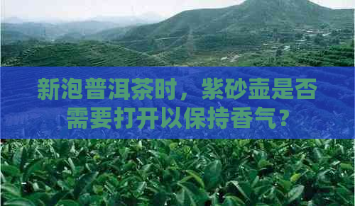 新泡普洱茶时，紫砂壶是否需要打开以保持香气？