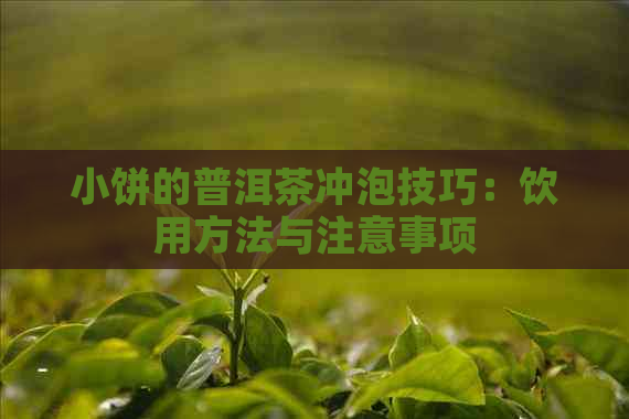 小饼的普洱茶冲泡技巧：饮用方法与注意事项