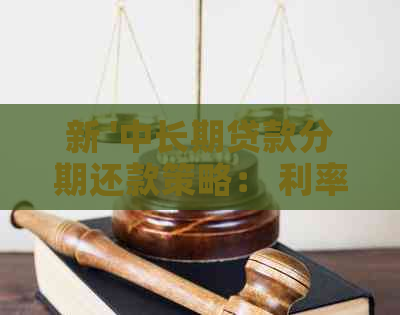 新 '中长期贷款分期还款策略： 利率， 期数， 风险与收益详解'